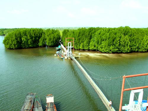 Mangrove Forest Koh Kong